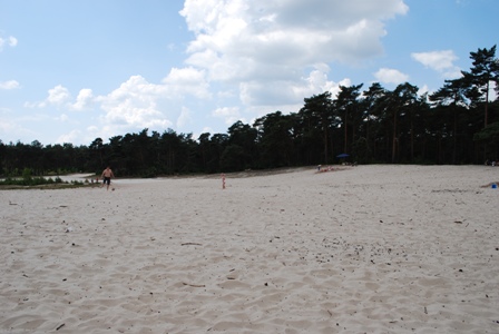 De sahara, een echte zandverstuiving in buurtschap Beerze bij Ommen